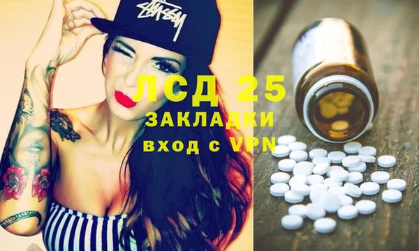 прущие грибы Костерёво
