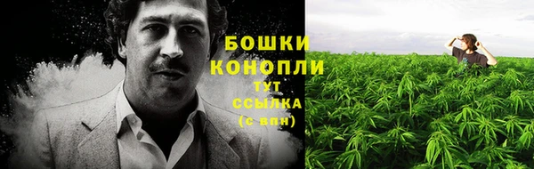 прущие грибы Костерёво